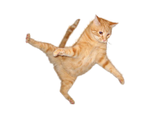 Rock on da table