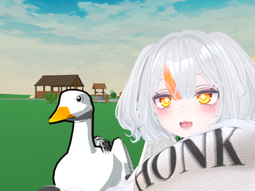 The Goose zone