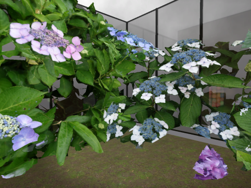 Hydrangea Room