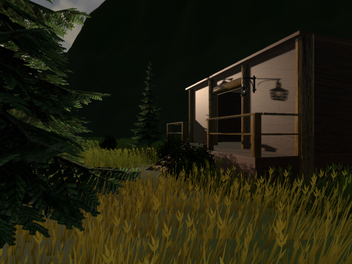 VPex's cabin hangout v1