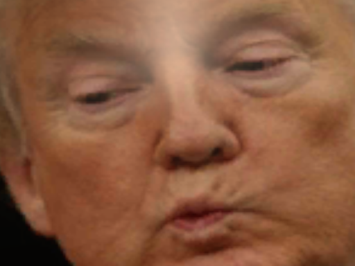 The wall Trump could never build