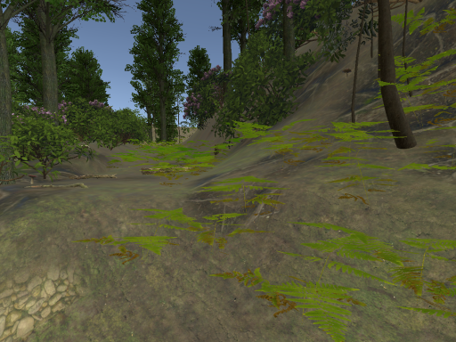 Valley of Ferns