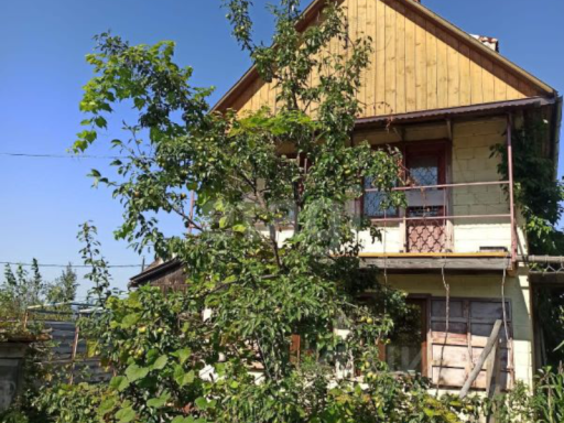 Dacha 2000