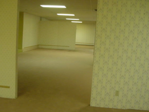 The Backrooms
