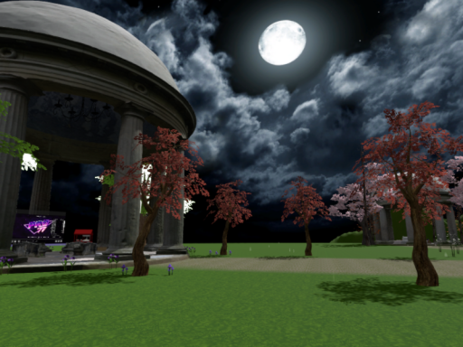 Under the Moon