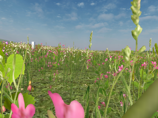 Flower Field - Xelonie Avatars