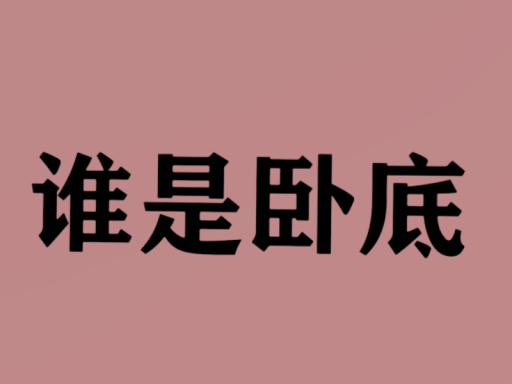 谁是卧底（测试版）