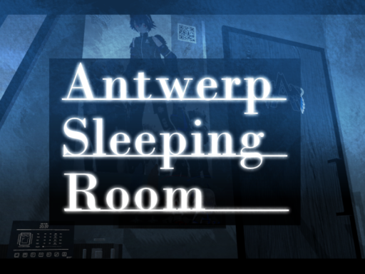 Antwerp Sleeping Room