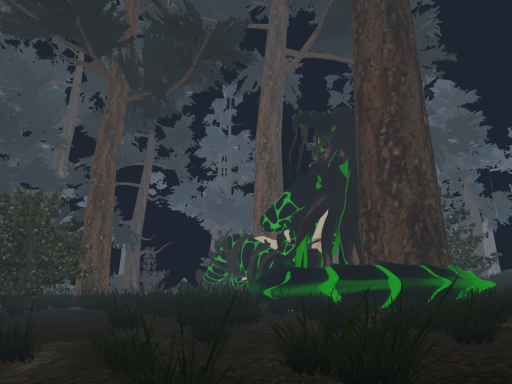 Rainy Forest