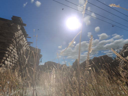 Desert Conflict