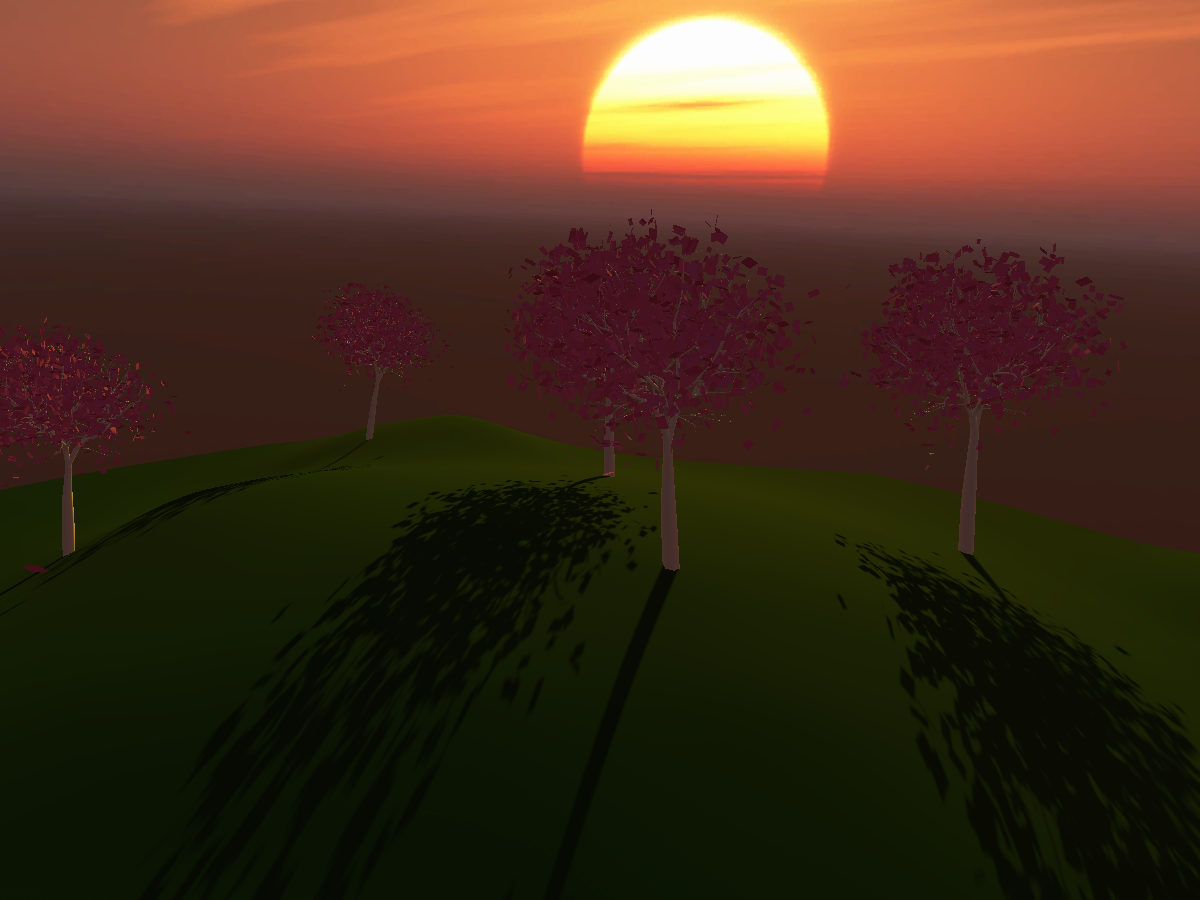 Immortal Forest