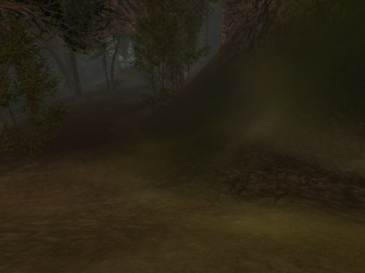 Peacefull jungle
