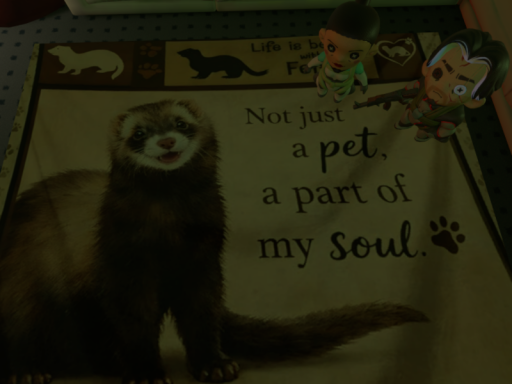 Ferret's world and public avis