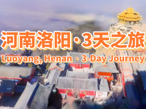 河南洛阳三天旅游｜3-Day Luoyang Henan Tour ＃13