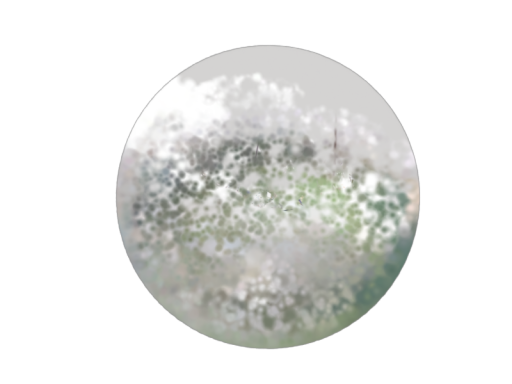 Garden 3DGS