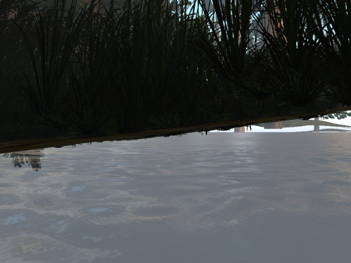 Forest Test2