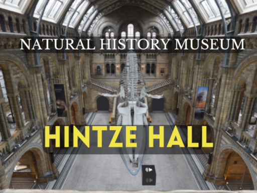 Natural History Museum - Hintze Hall
