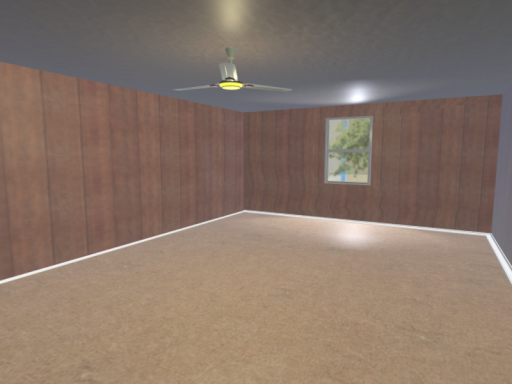 Saffi's Room