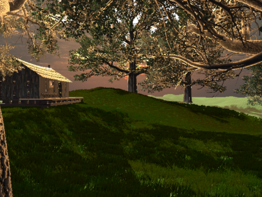 the grass feild
