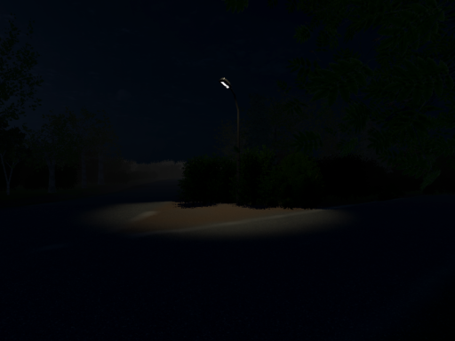 The Night Pole