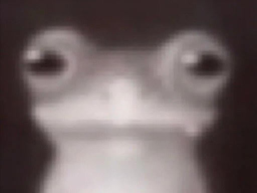 frog․