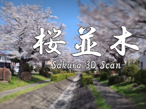桜並木 -Sakura 3D Scan-