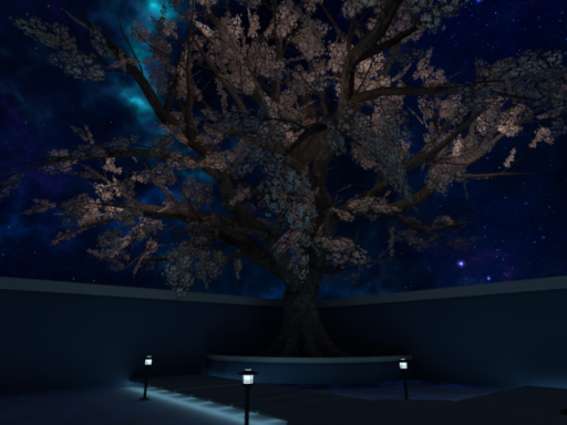 Noctune