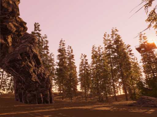 Evening Forest