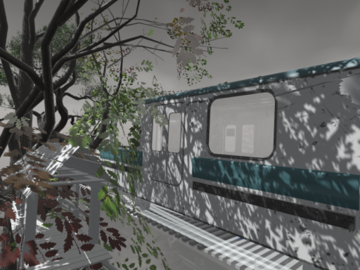 Rain train