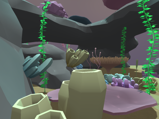 Coral Reef