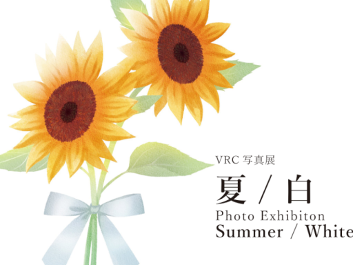 写真展「夏」「白」