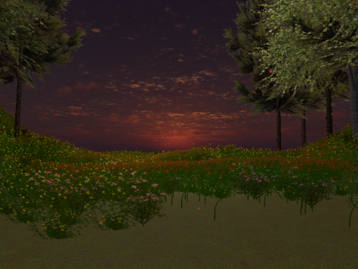 Forest Trip