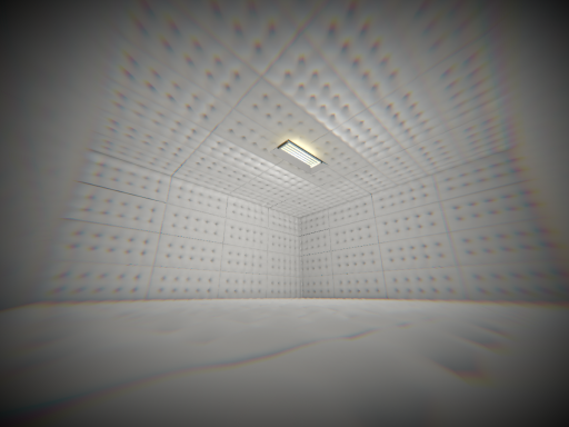 The Padded Room