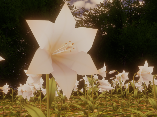 -Lily- in the forest