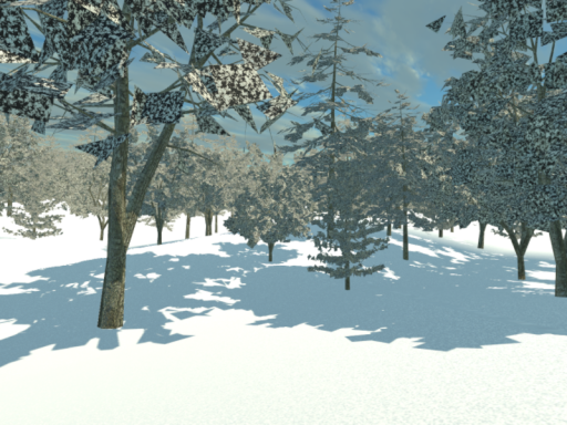 Winter Forest