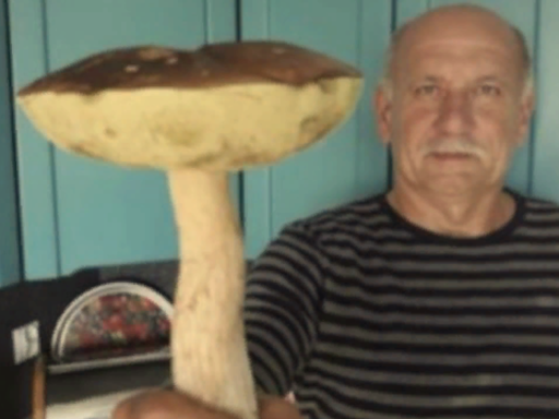 HAVE A FUNGUS