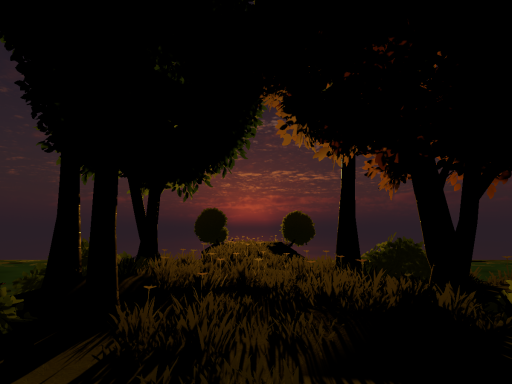 Sunset Picnic