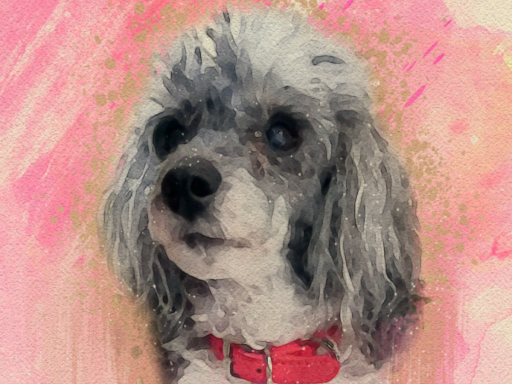 A Tribute World For My Wonderful Dog˸ ＂Lissy＂