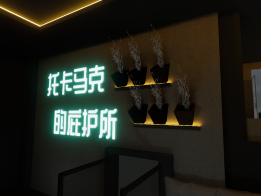 托卡马克的庇护所