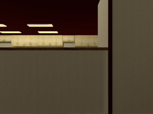 The Den Beta New Light Test