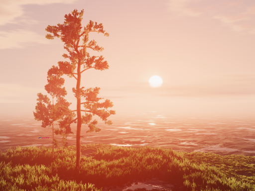 Silent Sunset