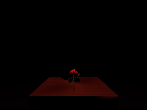dark