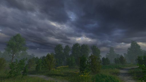 Forest