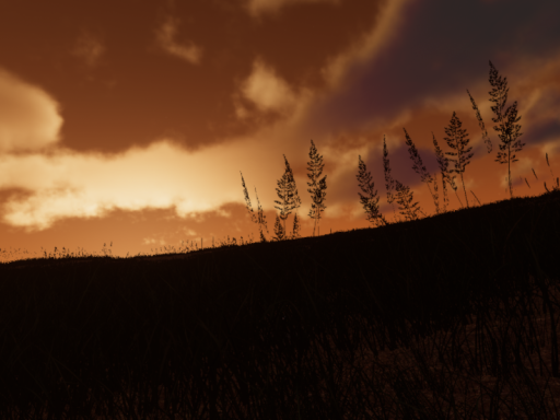 Plain Sunset