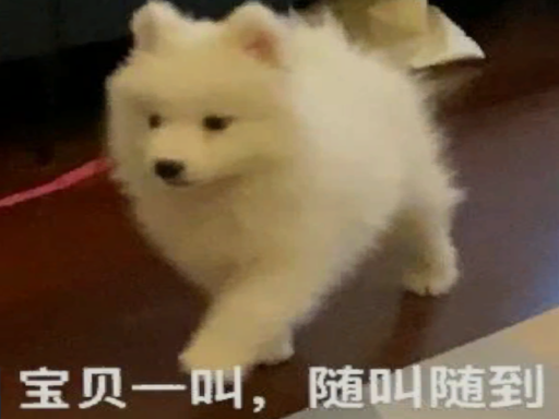 遇事不决睡大觉