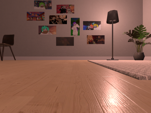 Nov's Bedroom