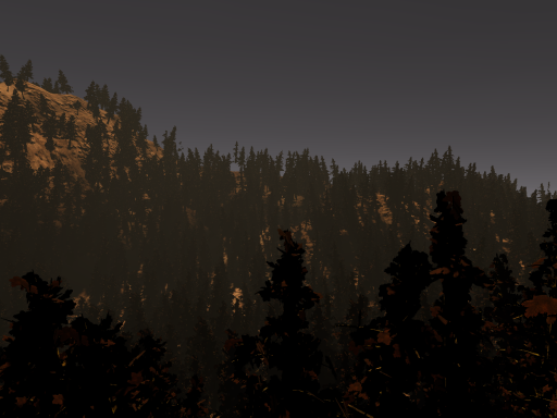 Autumn Forest