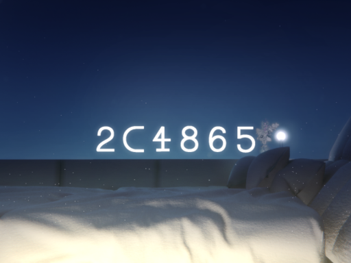 2C4865