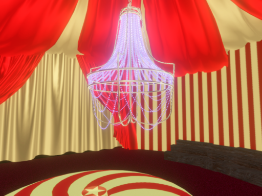 Circus Photography