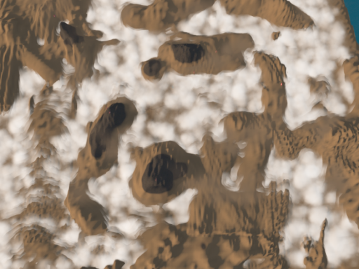 CAS Canyon